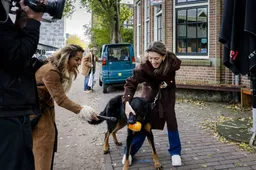 VVD-leider Dilan Yeşilgöz stemt in Amsterdam