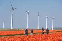 Schokkend rapport: bijna 1,7 miljoen arbeidsmigranten in Nederland - overheid stuurde “in de mist”