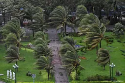 Tyfoon Kalmaegi raakt reis van tientallen Nederlanders in Vietnam