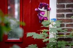 Vlaardings pleegmeisje heeft 24 uur per dag zorg nodig