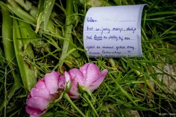 Moeder: mijn zoons zijn beschadigd in Vlaardings pleeggezin