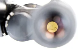 Mogelijk ziekmakende bacterie in worst uit verschillende winkels