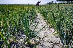 Gezondheidsraad wil meer natuurlijke bescherming van gewassen