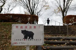 Japan wil gepensioneerde agenten en soldaten inzetten tegen beren
