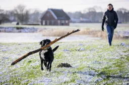 Eerste officiële vorst, temperatuur zakt ook in De Bilt onder nul