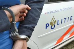 Dit jaar al 10.631 incidenten met nepagenten