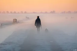 Eerste matige vorst van het seizoen: onder -5 in Eelde