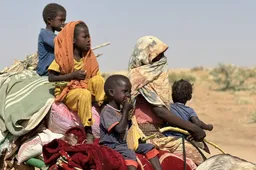 Rode Kruis opent giro 7244 om gewapende conflicten in de wereld