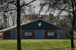 LTO: ruimingen pluimvee door vogelgriep doen zeer