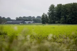 Noord-Holland vreest 70 miljoen euro faunaschade in 2026