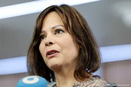 Toeslagenstichting SGH levert nog te weinig overeenkomsten op