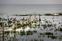Gaswinning bij Ternaard gaat definitief niet door, deal met NAM
