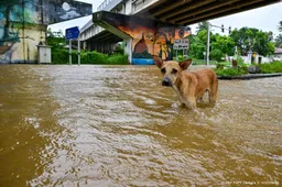 Ruim 120 doden na noodweer in Sri Lanka 
