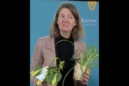 Vandaag Inside sloopt groene ‘experts’ bij formatie: Derksen en Duk lachen om kneuterige plantjes-actie: ‘Pleur op!’