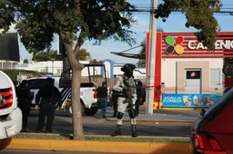 “Trump heeft gelijk” - Mexicaanse politica bevestigt: kartels regeren het land, regering is medeplichtig