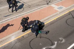 Dom, dommer, domst: 36 arrestaties bij anti-immigratiedemonstratie in Den Haag (Stop met deze onzin!)