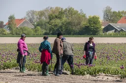 De omvolking gaat door: Polen vertrekken, maar hordes Roemenen en Bulgaren nemen hun plaats in - En straks de rest van de wereld!