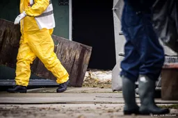 Kittens dood door vogelgriep op geitenboerderij