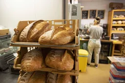 Steekproef organisaties: PFAS-variant in veel graanproducten