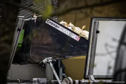 Dierenbescherming rukt vaker uit voor meldingen van vogelgriep