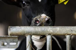 Aanhoudingen om bedreigen boer die in nieuws kwam door misstanden