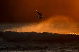 Media: 10 doden, onder wie een vermeende dader, bij Bondi Beach