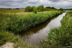 Artsen vragen in brief aan informateur om PFAS-verbod 