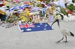 Omgekomen schutter Bondi Beach kwam uit India