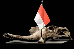 Vier topstukken Dubois-collectie aan Indonesië gegeven