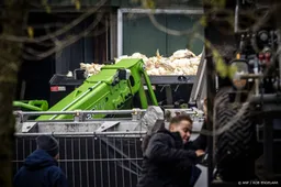 Kamer wil vaccinatie vogelgriep, maar vreest handelsproblemen