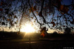 Zon komt weer naar ons toe, dagen worden langer