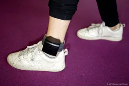 RvS adviseert wet met enkelband als hoofdstraf bij te schaven