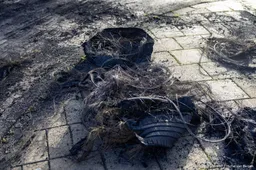 Tien aanhoudingen om ongeregeldheden Amsterdamse wijk Floradorp