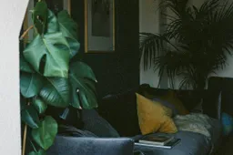 Creëer jouw ideale buitenruimte met een loungeset en tuinstoelen