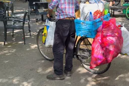 shutterstock_2320882975