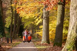 DE REKENING VOOR OSS: OM eist ruim 5 jaar cel tegen Stint-bazen wegens 'kwalijke manipulatie' en dood door schuld