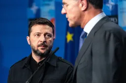 shutterstock_2645331963