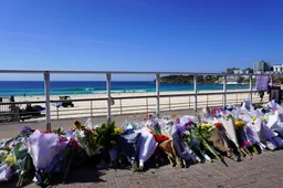 Online lof voor Bondi Beach-bloedbad ontmaskert zwaarbewapende extremist