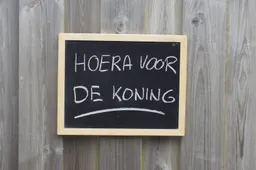 HYPOCRISIE TEN TOP: Sander Sassen fileert 'prekende' Koning! 'Hij leeft in luxe, onze kinderen hebben geen toekomst'