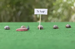 Rabobank schetst inktzwart scenario: Huizenprijzen stijgen veel harder dan uw loon, betaalbaarheid holt achteruit