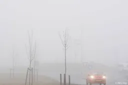 Naast gladheid ook code geel om dichte mist tijdens ochtendspits