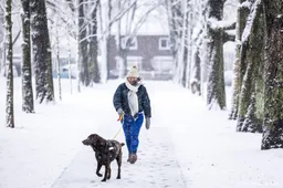 Nog tien gemeenten gestopt met hondenbelasting