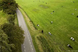 Veehouders bij kwetsbare natuur krijgen eerder geld om te stoppen