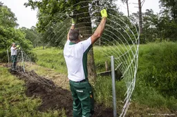Kwart miljoen euro in Groningse subsidiepot wolfwerende rasters 