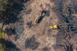 Hoe verplaats je grote materialen zonder gedoe?