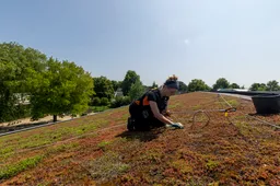 Waarom zonnepanelen plotseling veel meer rendement leveren als ze op een groene ondergrond staan
