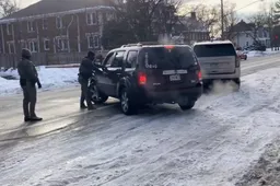 Ontmaskerd: 'Onschuldige moeder' Renee Nicole Good was radicaal lid van ICE Watch-knokploeg