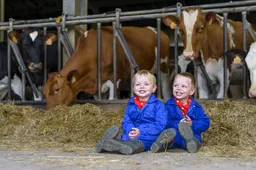 Totale waanzin: Boeren moeten 'bruin goud' afvoeren en dure kunstmest kopen van Brussel