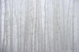 Ook maandagochtend plaatselijk dichte mist in noordwesten