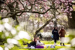Warm lenteweer in aantocht met zon en droge periodes